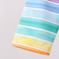 Rainbow Stripe Bow Ruffle Rashguard Set
