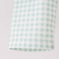 Green Gingham Pants Set