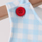 Blue Candy Cane Embroidery Gingham JonJon